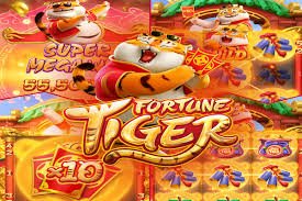win pkr 777 Bingo